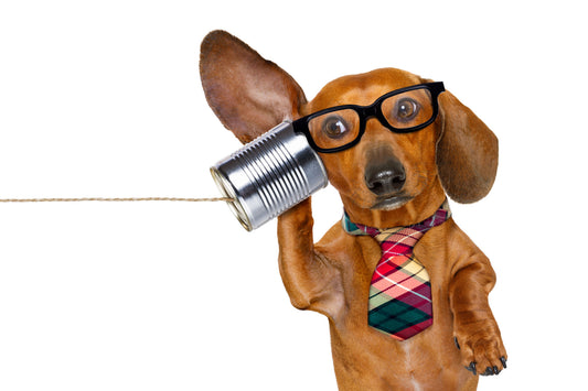COMMUNICATION IMPACT ASSESSMENT